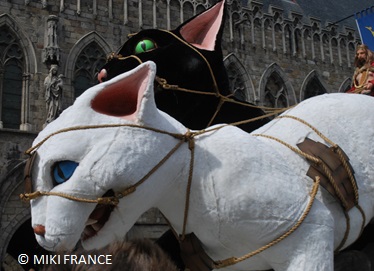猫・ねこ・ネコ 街中ネコだらけ！ベルギー イーペル ネコ祭り みゅう